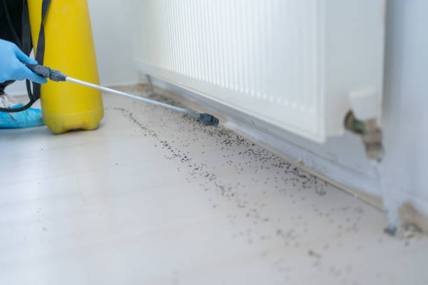 Best Affordable Pest Control Services  in Donora, PA